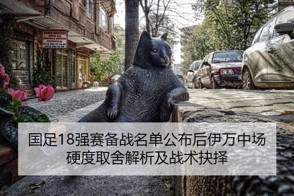 国足18强赛备战名单公布后伊万中场硬度取舍解析及战术抉择